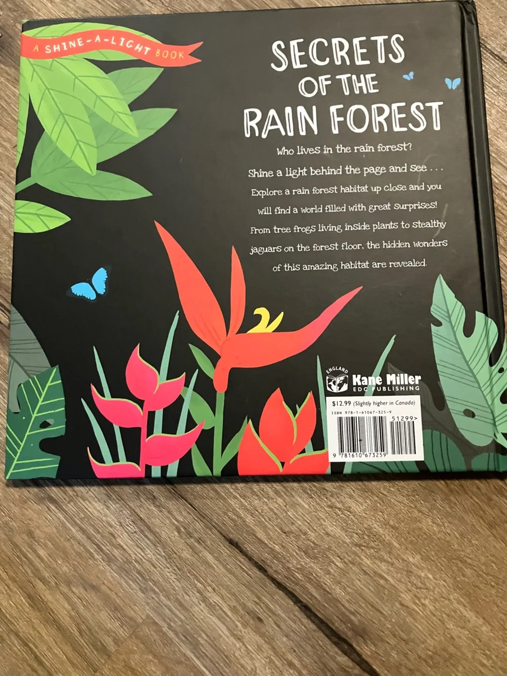 Secrets of the Rain Forest Shine-A-Light Book - Black & Green Cover